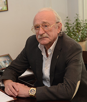 НИКОЛАЕВ СТАНИСЛАВ ЮРЬЕВИЧ. Меркатор Холдинг